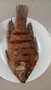 Whole Fish Size 1