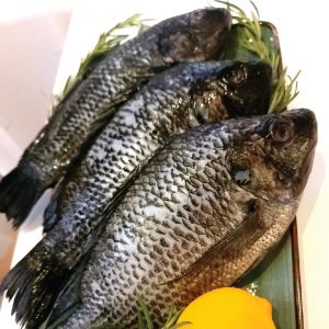 Whole Fish Size 10